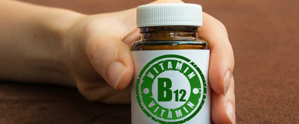 alimentos com vitamina b12